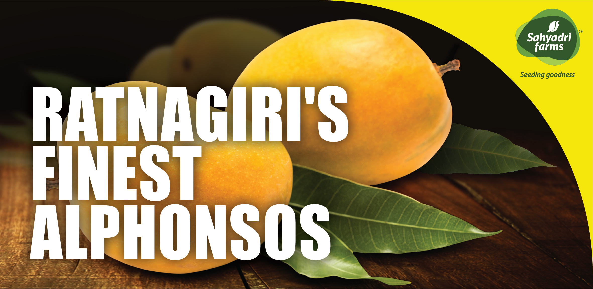 Alphonso